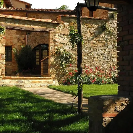 Salvia San Donato in Poggio
